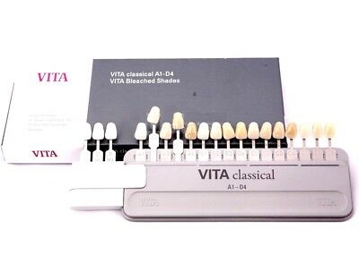 Vita Classical Shade Guide A1-d4 With Attached Bleached Extension 19 Colors